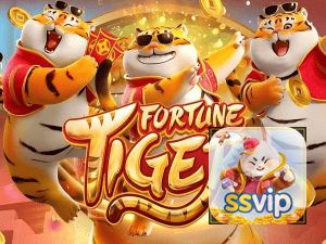 Guia install APK SSVIP BR